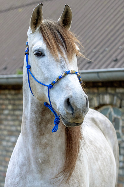 Rope halter cobalt with cobalt army green and beige