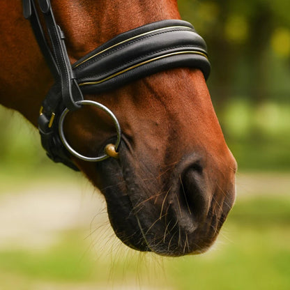 UNCLAIMED ITEMS - Lumiere - Luxe Cavesson hoofdstel 'Delta' (promoveiling) COB