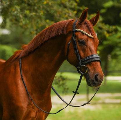 UNCLAIMED ITEMS - Lumiere - Luxe Cavesson hoofdstel 'Delta' (promoveiling) COB