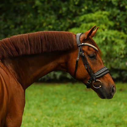 UNCLAIMED ITEMS - Lumiere - Luxe Cavesson hoofdstel 'Delta' (promoveiling) COB
