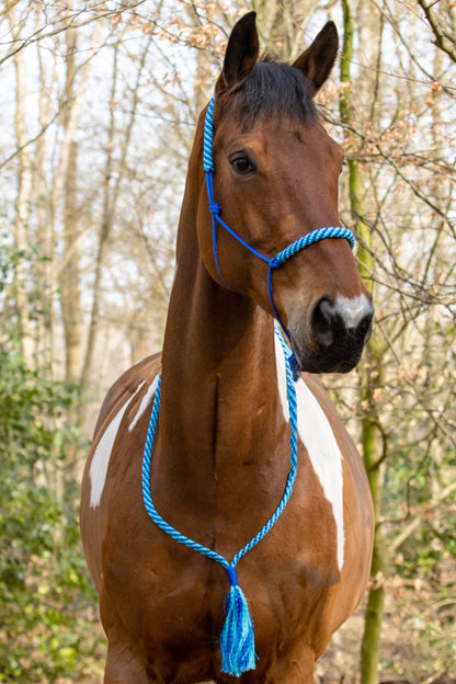 Seilhalfter Set Ozean Glanz