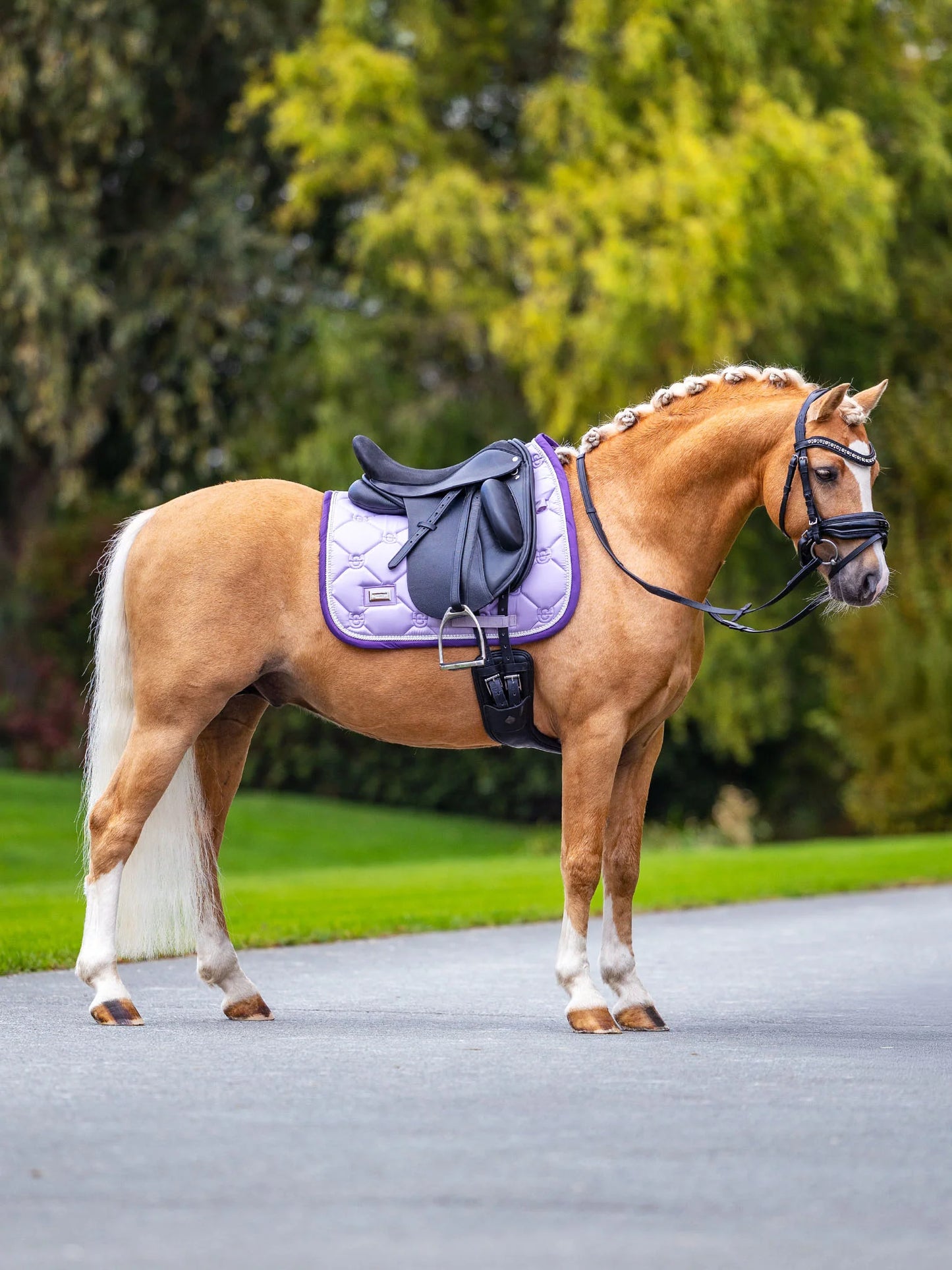 Equestrian Stockholm - SS26 Lavender - Dressage Saddle Pad dressuurzadeldek Pearl