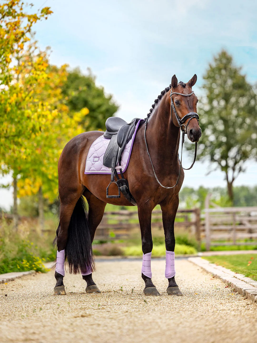Equestrian Stockholm - SS26 Lavender - Dressage Saddle Pad dressuurzadeldek Pearl