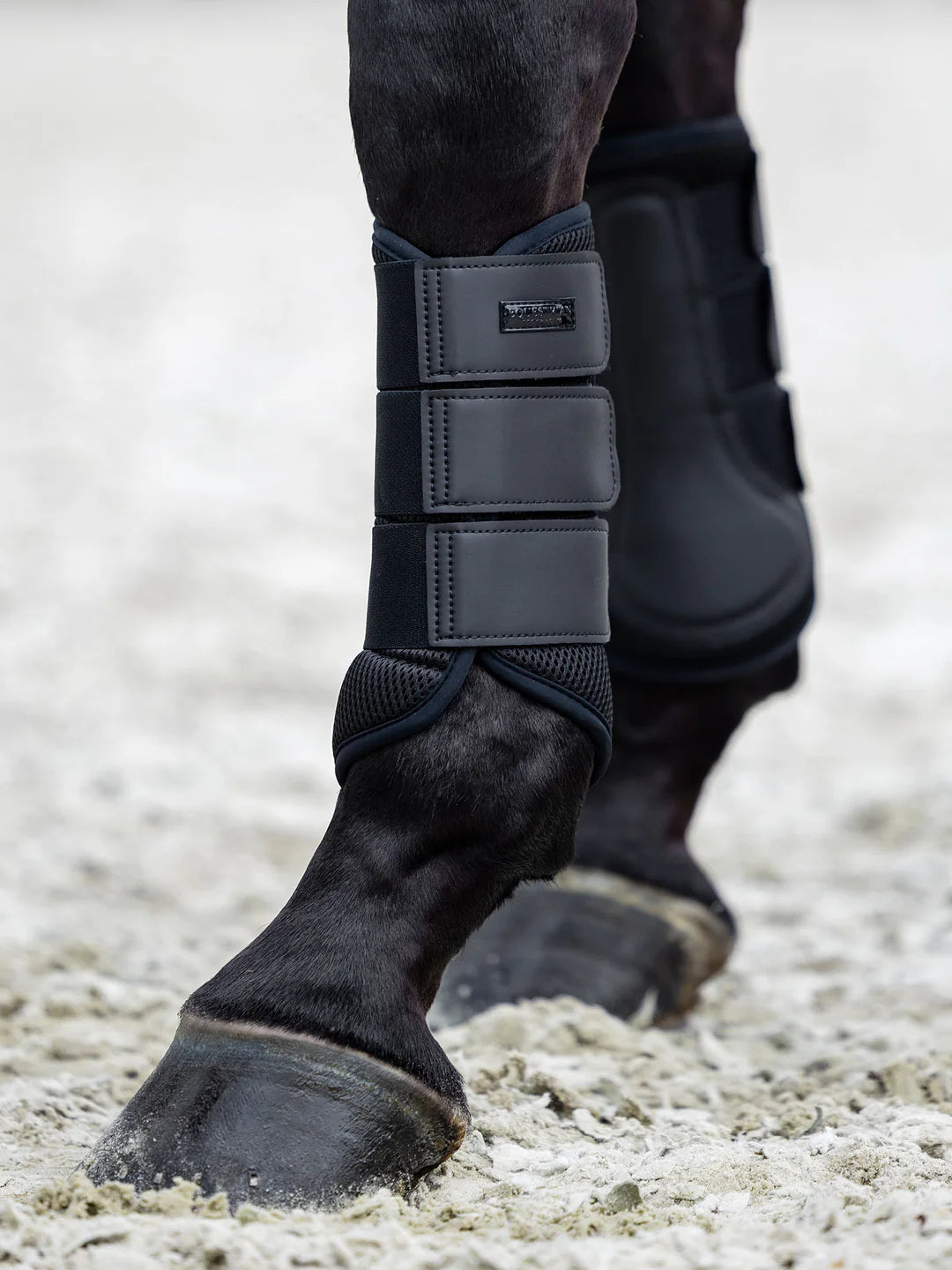 Equestrian Stockholm - Core Collection - Stinchiere in rete nere