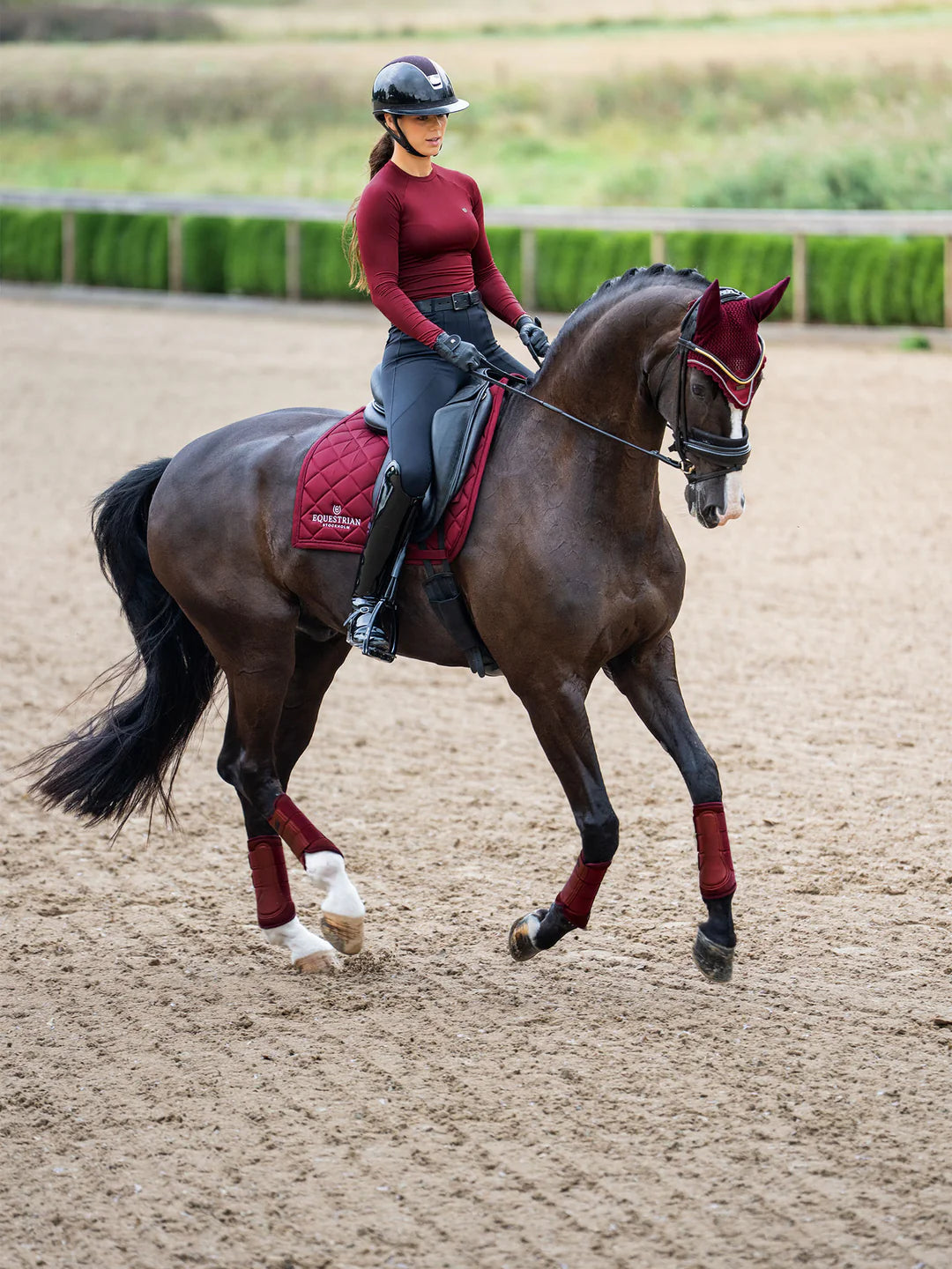 Equestrian Stockholm - Core Collection - Parastinchi Bordeaux Mesh Brushing Boots