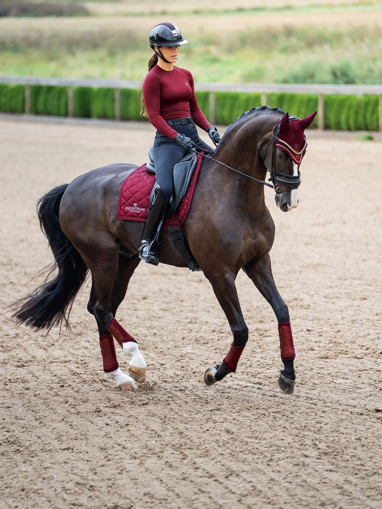 Equestrian Stockholm - Collection Line - Tapis de dressage Bordeaux