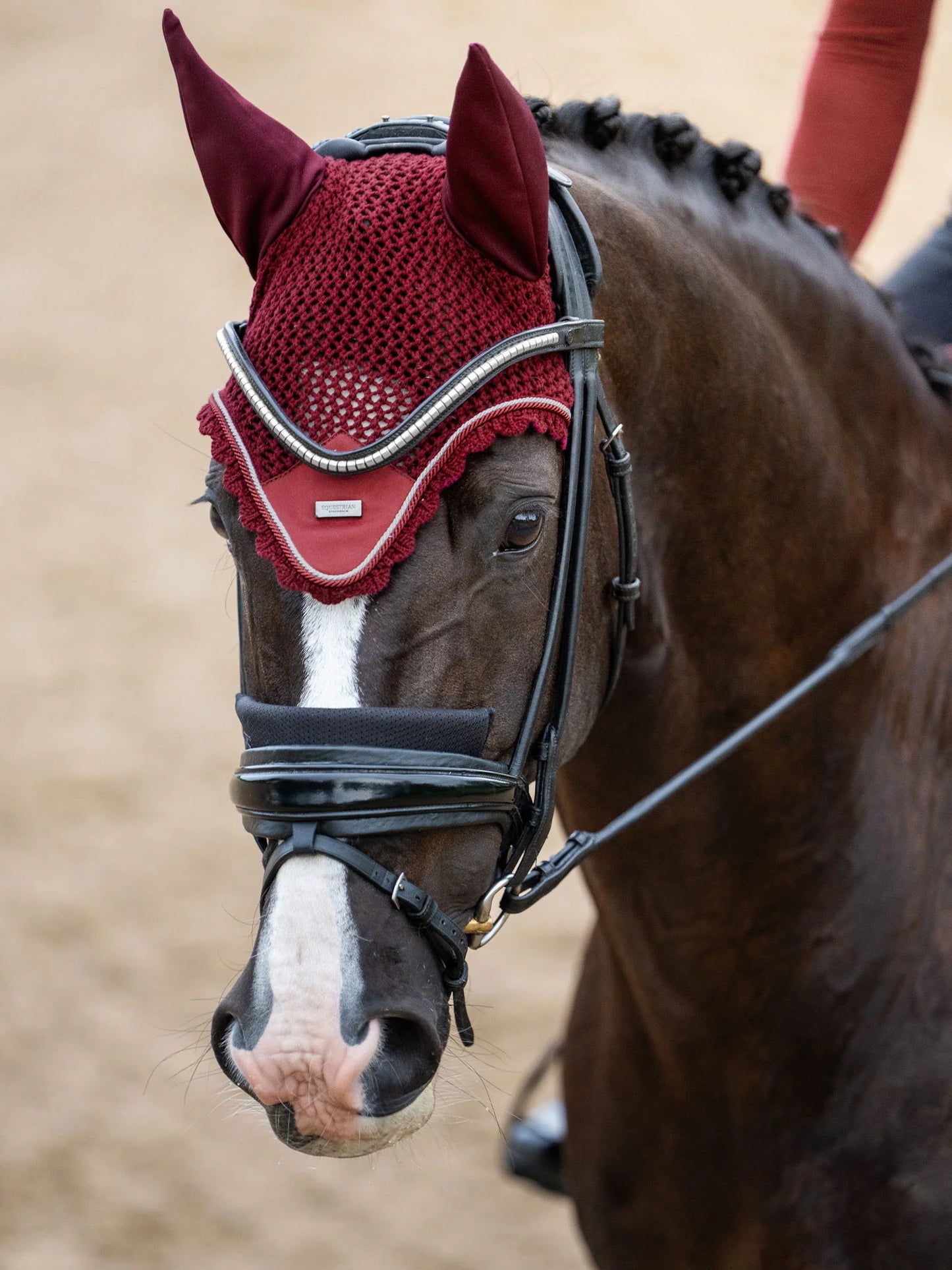 Equestrian Stockholm - Core Collection - Cappuccio orecchie Bordeaux