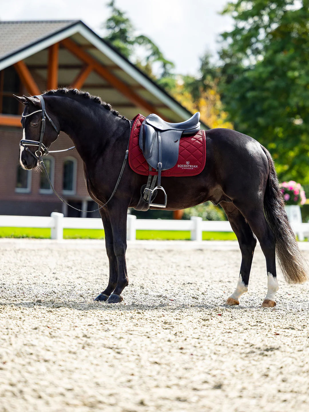 Equestrian Stockholm - Collection Line - Tapis de dressage Bordeaux