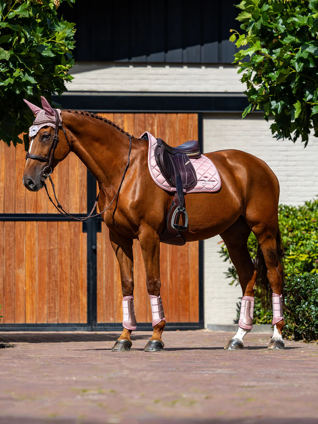 Equestrian Stockholm - Line Collection - Pink Jump Saddle Pad