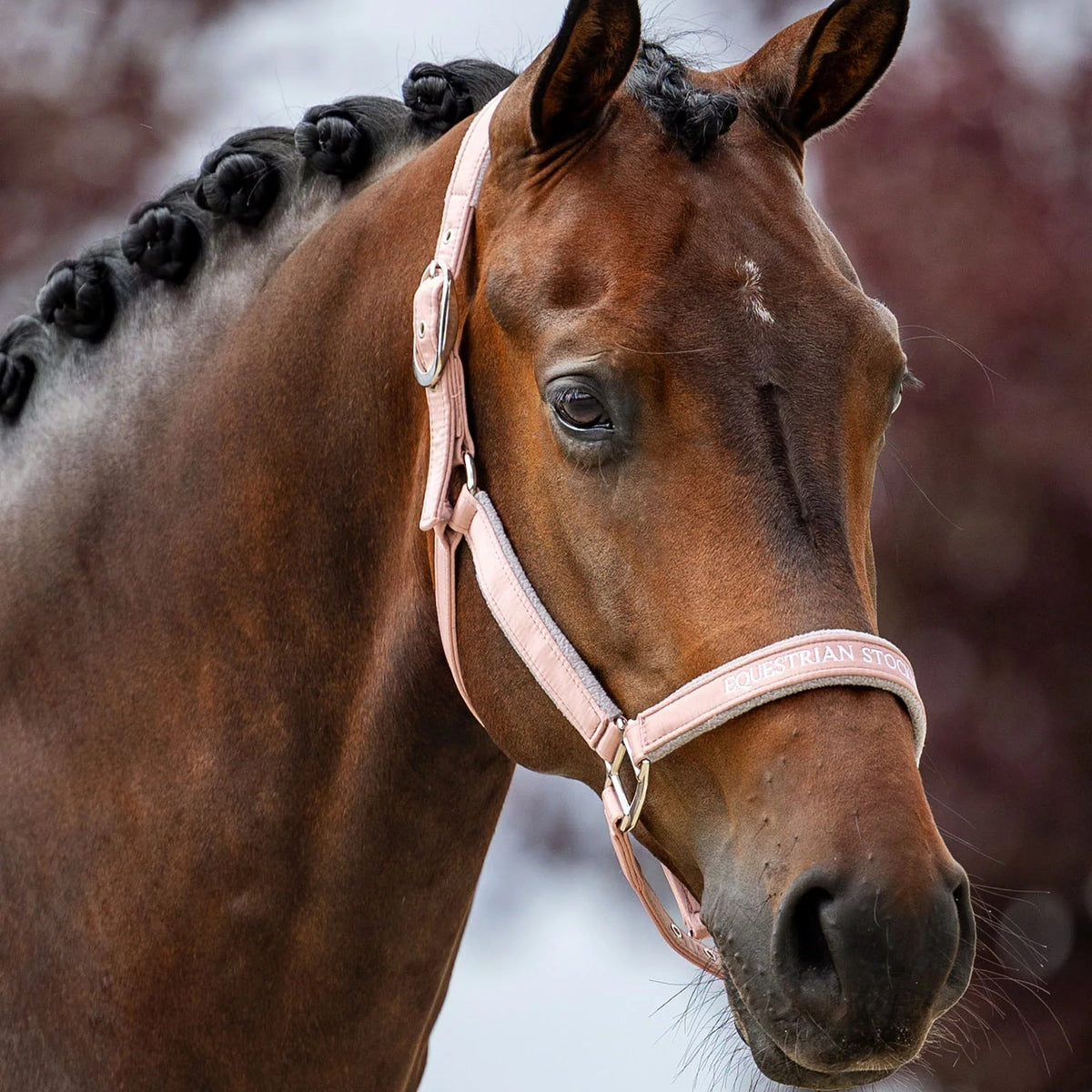 Equestrian Stockholm - Line Collection - Pink Halster - Ride Against Cancer
