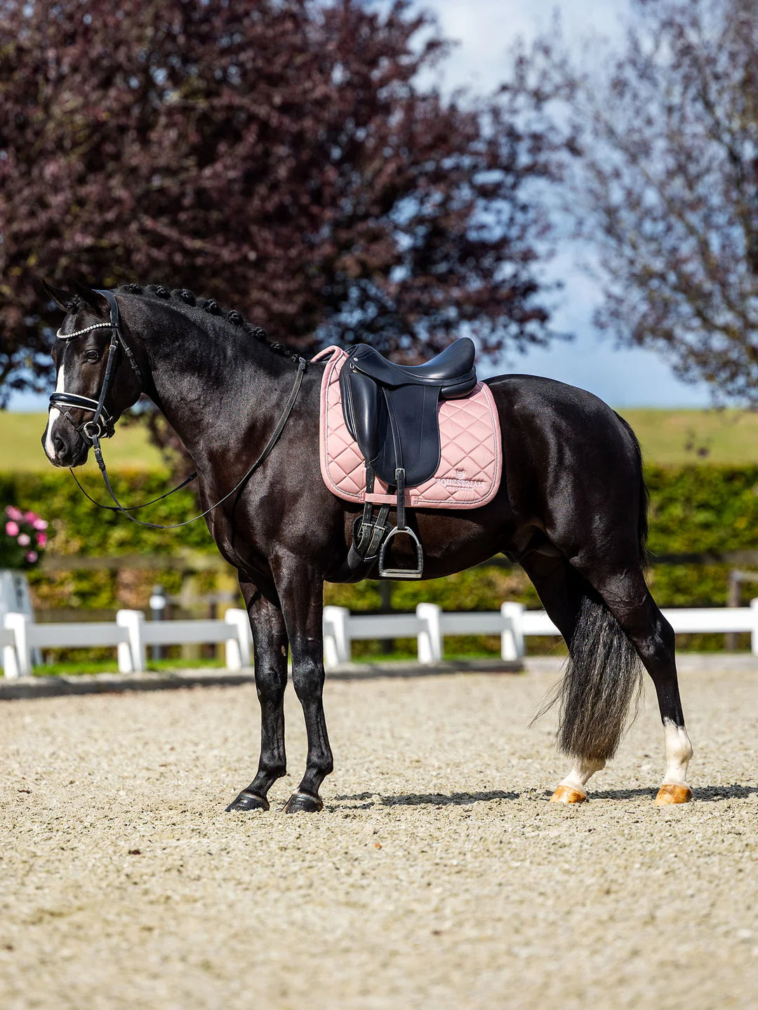 Equestrian Stockholm - Line Collection - Sottosella da dressage rosa