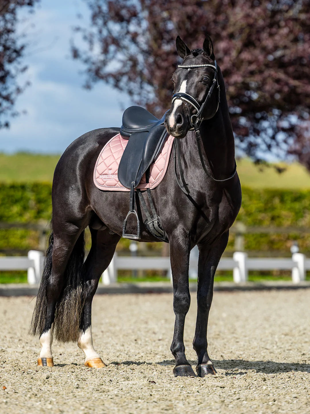 Equestrian Stockholm - Line Collection - Sottosella da dressage rosa
