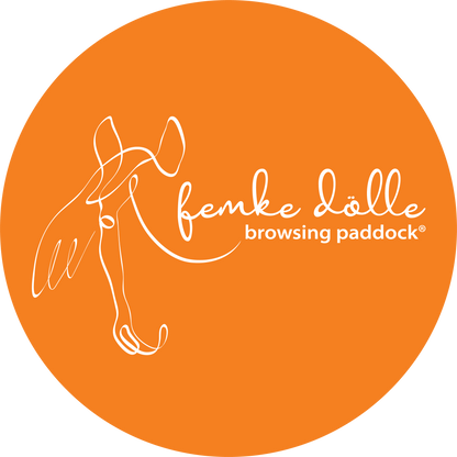 Femke Dölle - Mineralienbuffet Deluxe