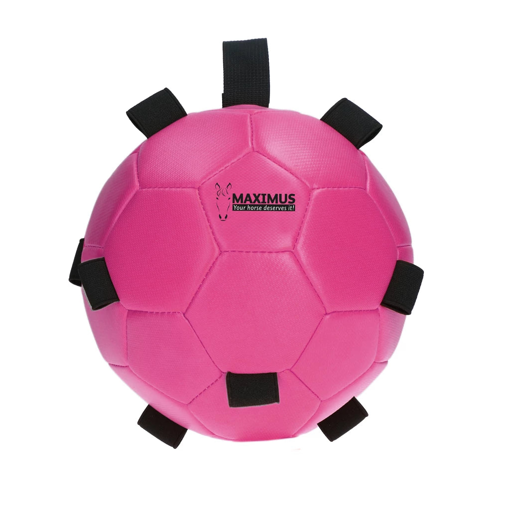 Excellent Horse - Maximus Fun Play Ball speelbal voederbal roze/blauw