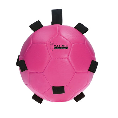 Excellent Horse - Maximus Fun Play Ball speelbal voederbal roze/blauw