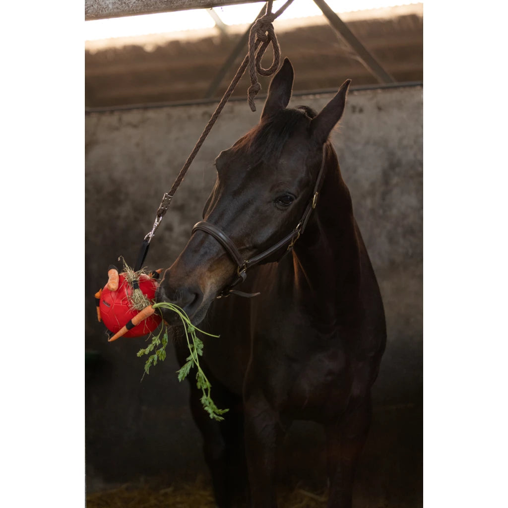 Excellent Horse - Maximus Fun Play Ball speelbal voederbal roze/blauw