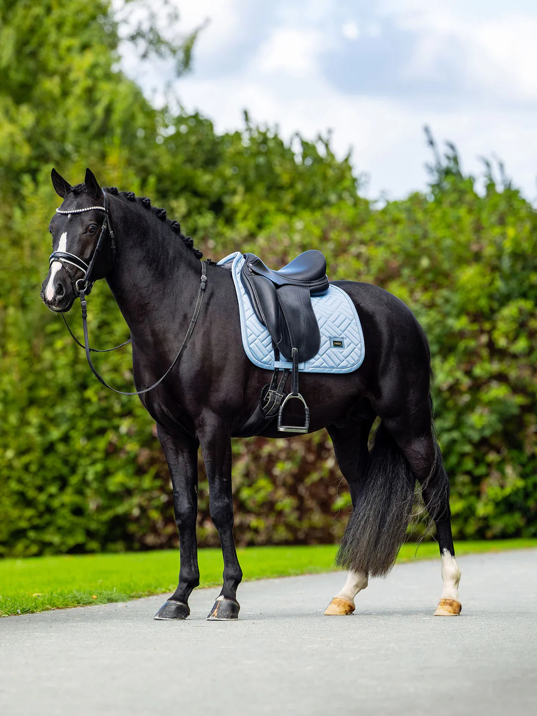 Equestrian Stockholm - SS26 Midsummer Blue - Dressursattelpad Modernes Dressursattelpad