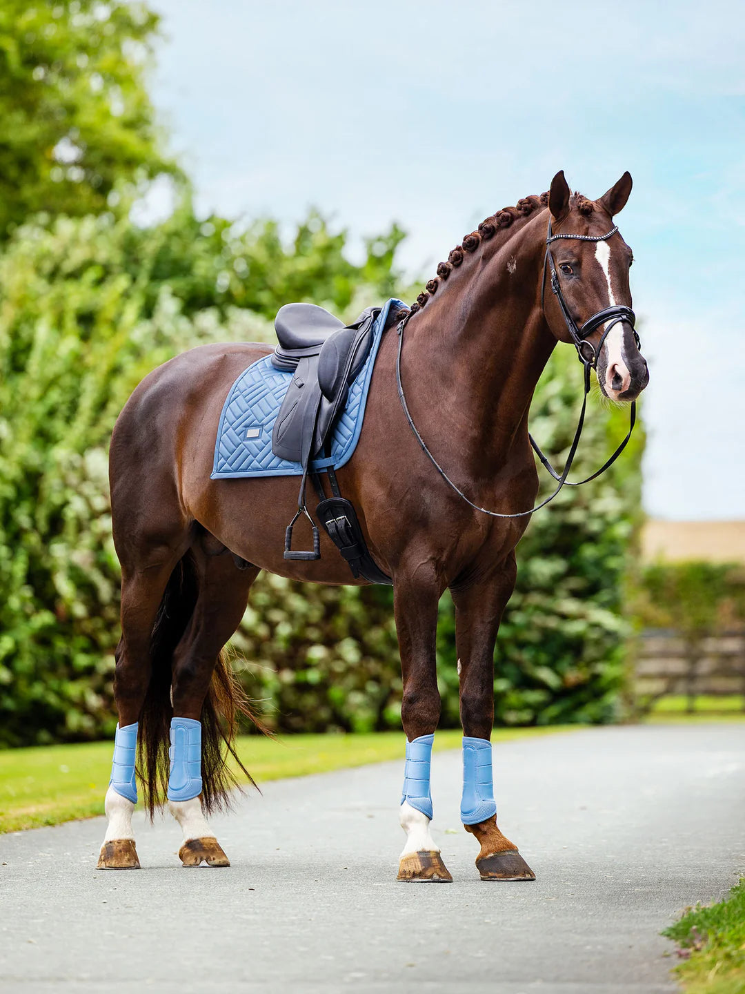 Equestrian Stockholm - SS26 Midsummer Blue - Dressursattelpad Modernes Dressursattelpad