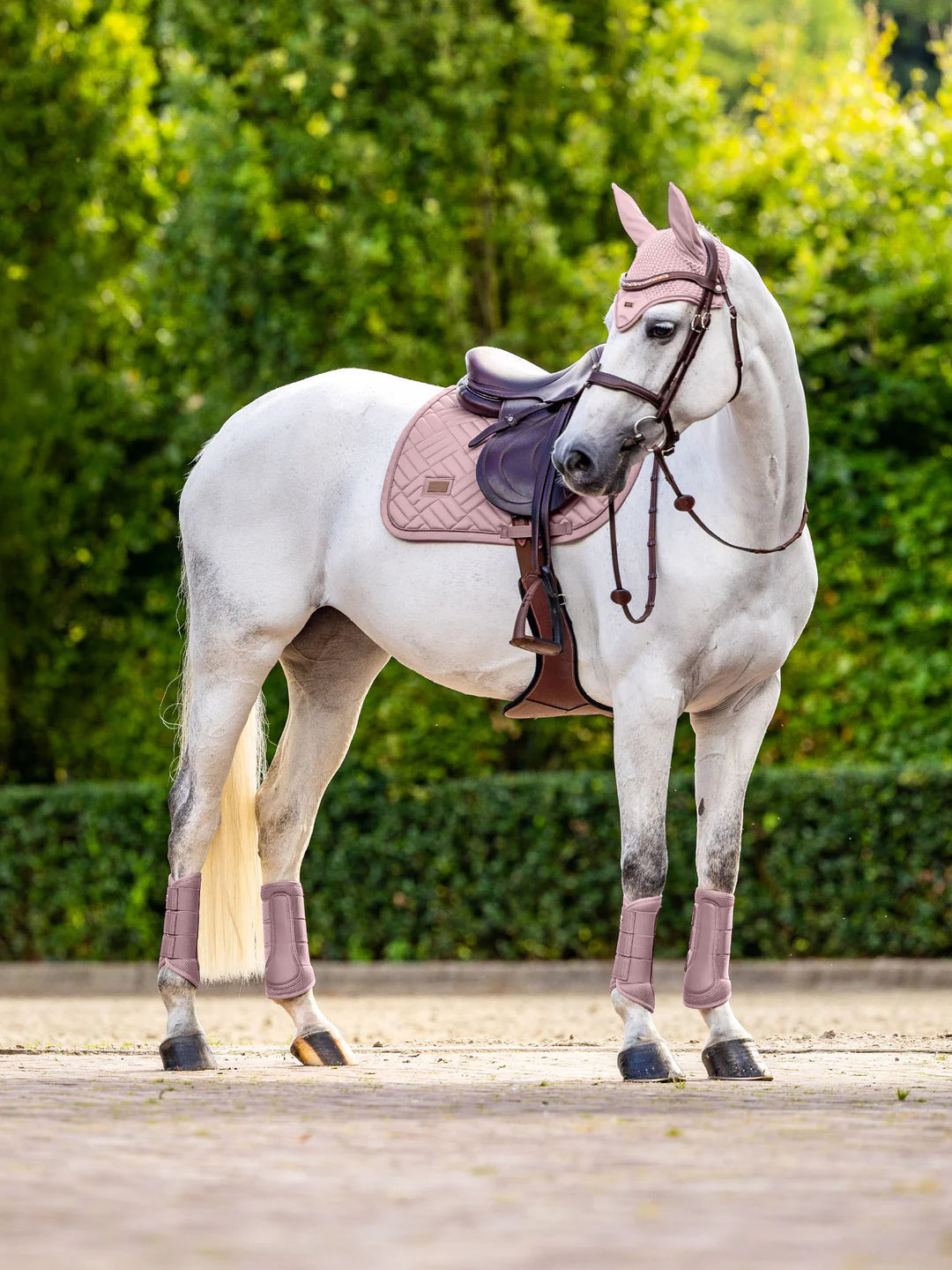 Equestrian Stockholm - SS26 Midsummer Blush - Tapis de saut moderne