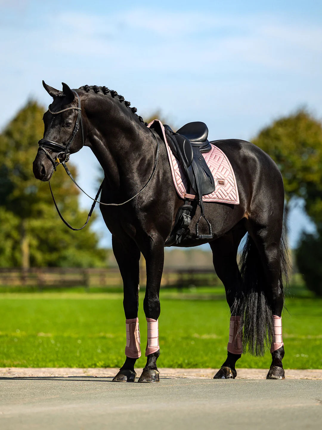 Equestrian Stockholm - SS26 Midsummer Blush - Tapis de selle de dressage Modern dressuurzadeldek