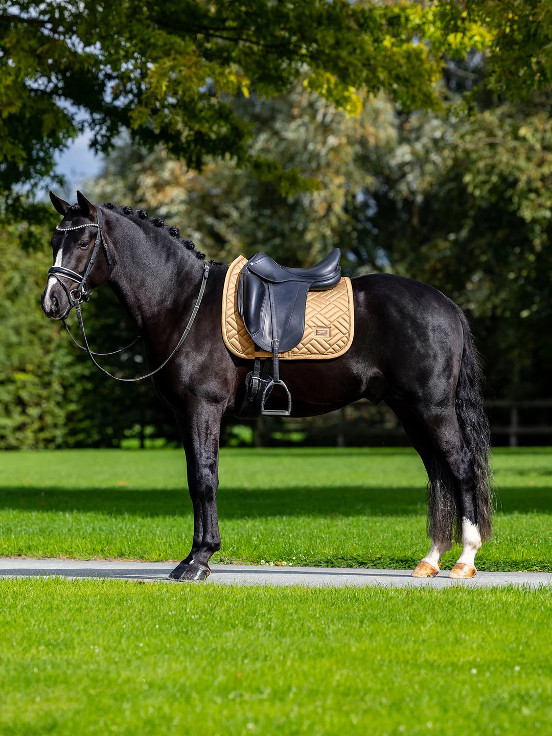 Equestrian Stockholm - SS26 Midsummer Glow - Tapis de selle de dressage Modern dressuurzadeldek