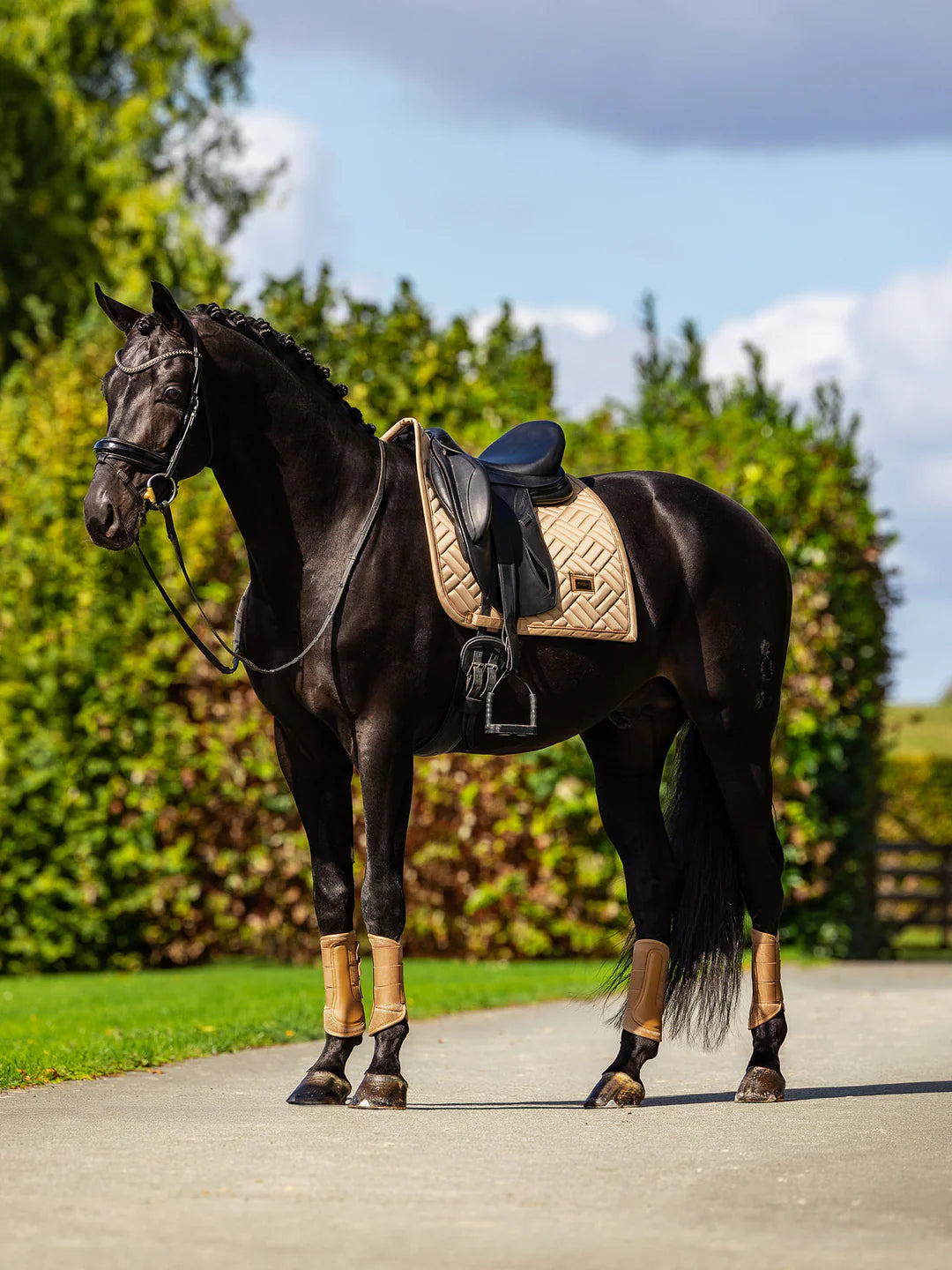 Equestrian Stockholm - SS26 Midsummer Glow - Tapis de selle de dressage Modern dressuurzadeldek
