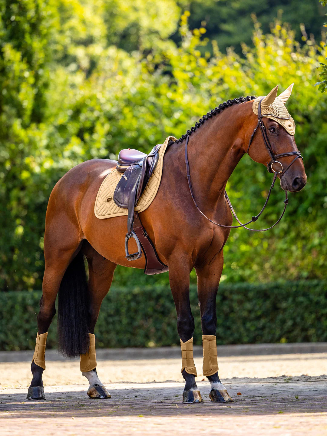 Equestrian Stockholm - SS26 Midsummer Glow - Mantilla de silla de salto moderna