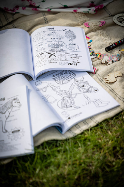Pony Creative Learning boek - 8+ jaar - Engels