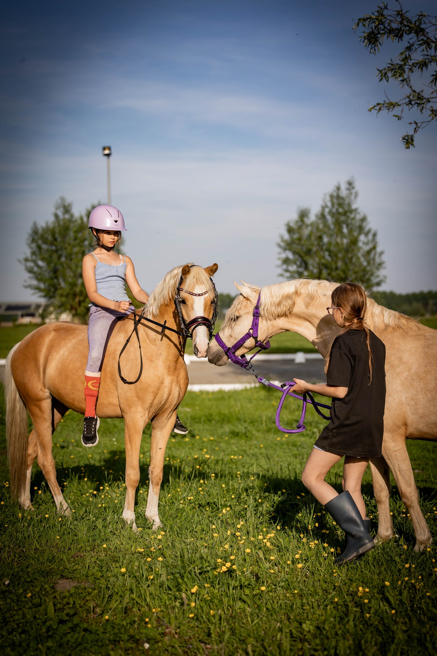 FMH - Luxury Hanoverian Bridle ‘Oops, I’m a Diva’ with Double Noseband Pink Lined Black Leather incl. Reins