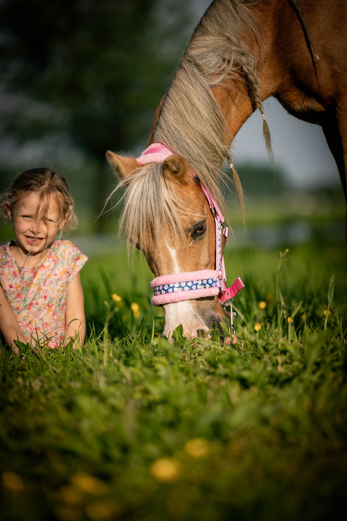 Happy Halsters x FMH - Sweetheart Exclusive Halfter (flauschig) verschiedene Farben