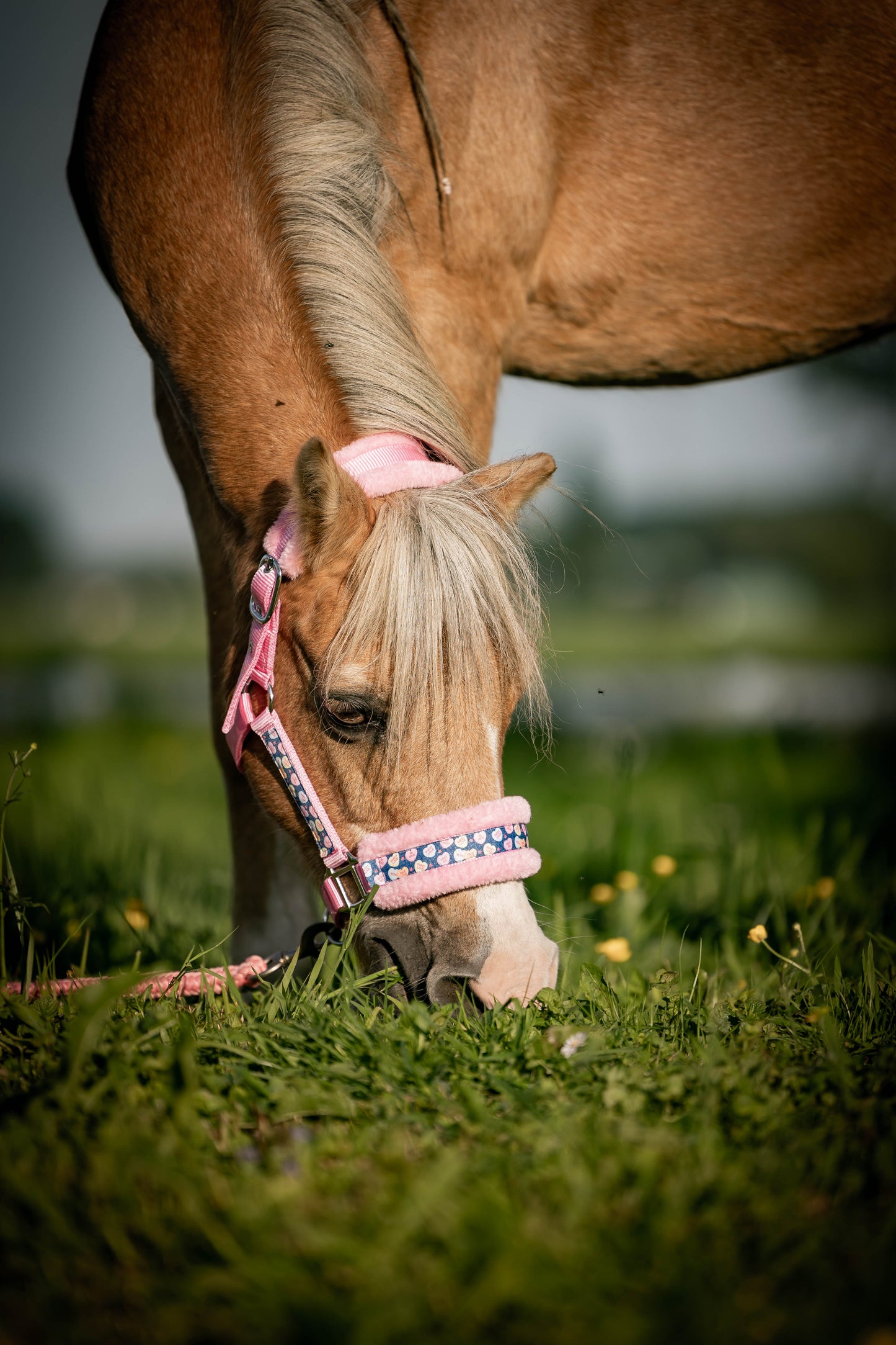 Happy Halsters x FMH - Sweetheart Exclusive Halfter (flauschig) verschiedene Farben