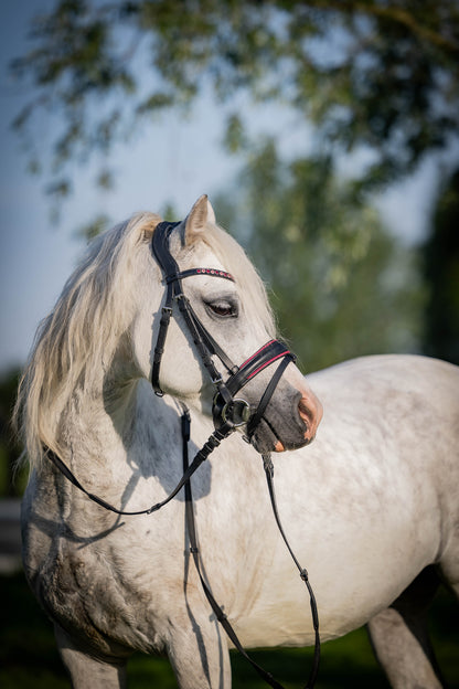 FMH - Luxury Hanoverian Bridle ‘Oops, I’m a Diva’ with Double Noseband Pink Lined Black Leather incl. Reins