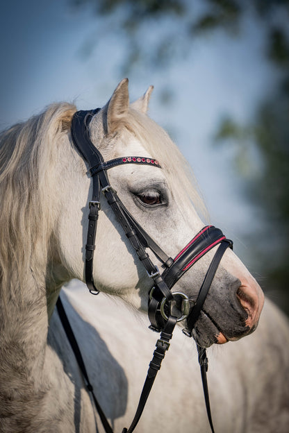 FMH - Luxury Hanoverian Bridle ‘Oops, I’m a Diva’ with Double Noseband Pink Lined Black Leather incl. Reins