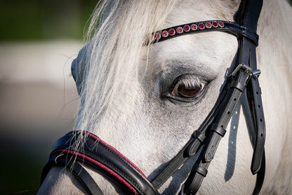 FMH - Luxury Hanoverian Bridle ‘Oops, I’m a Diva’ with Double Noseband Pink Lined Black Leather incl. Reins