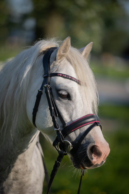 FMH - Luxury Hanoverian Bridle ‘Oops, I’m a Diva’ with Double Noseband Pink Lined Black Leather incl. Reins
