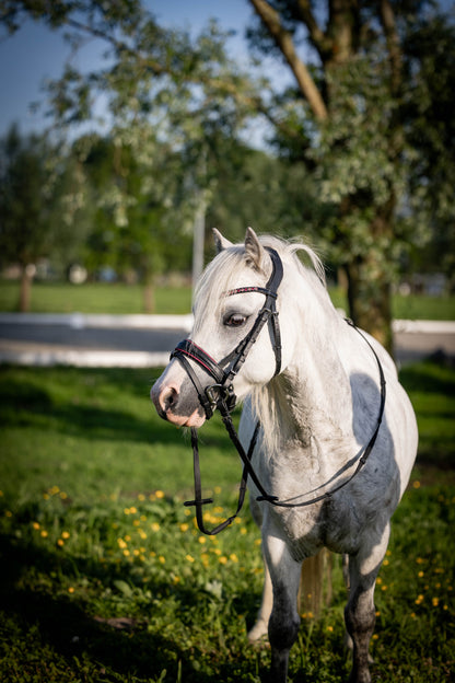 FMH - Luxury Hanoverian Bridle ‘Oops, I’m a Diva’ with Double Noseband Pink Lined Black Leather incl. Reins