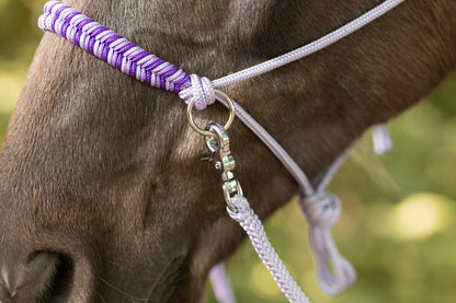 Myrthe's Paardenpassie - Tauhalfter Fischgrät 2025-2026