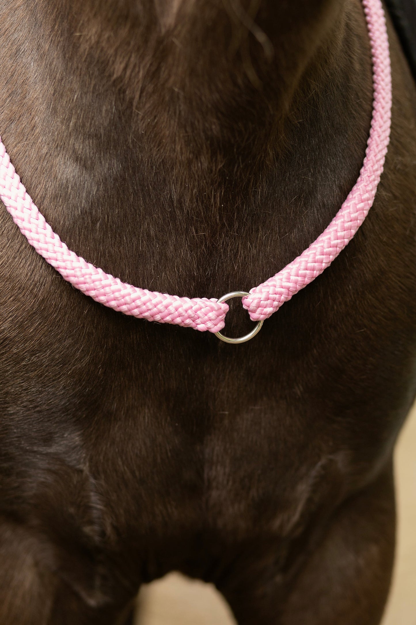 Myrthe's Paardenpassie - Cuerda para cuello con anillo básico