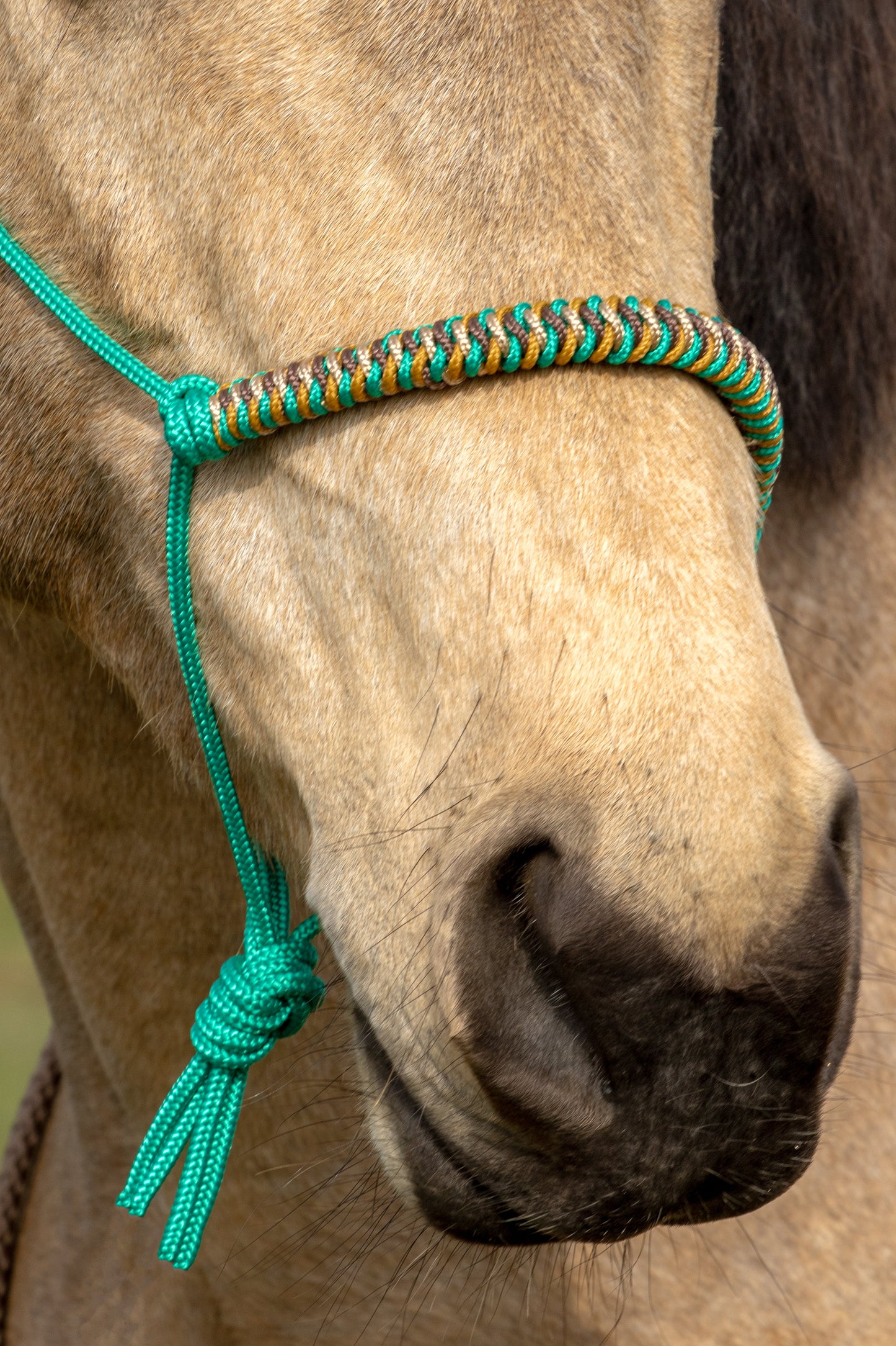 Rope holster set green coffee