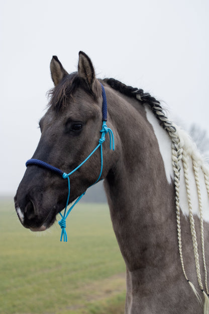 Rope halter ocean blue with dark blue