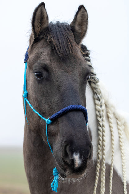 Rope halter ocean blue with dark blue