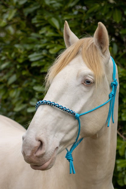 Rope halter with braided noseband ocean blue, white and dark blue