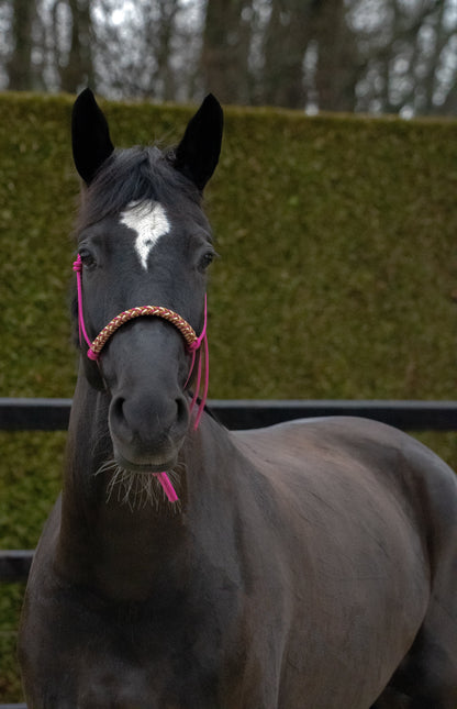 Rope halter with braided noseband cranberry, gold and caramel