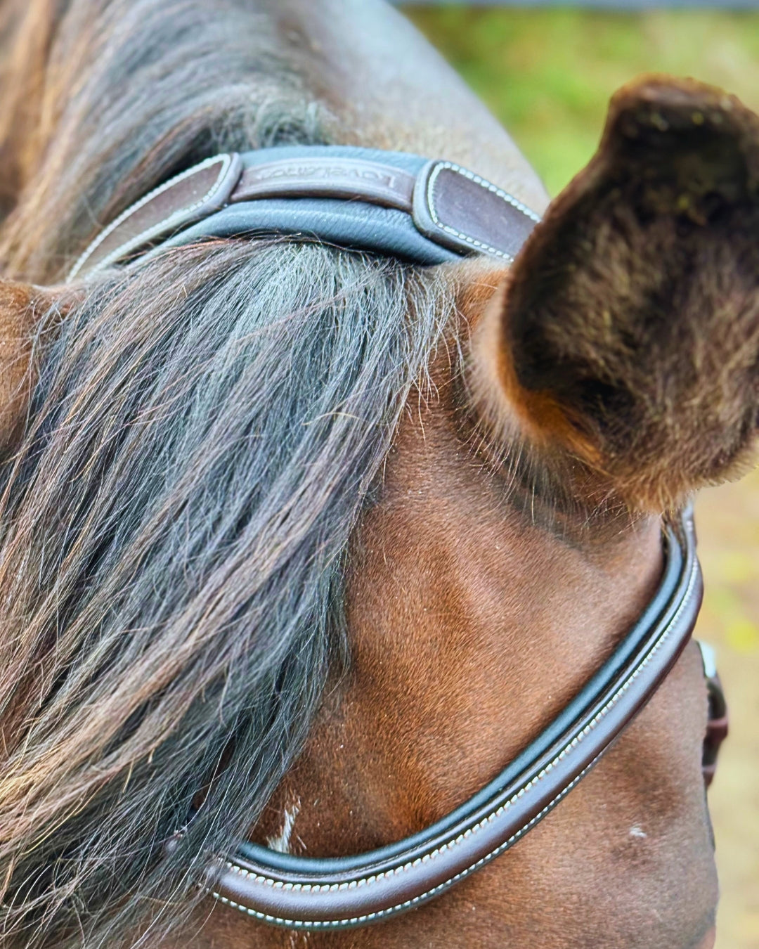 LoveLance - Sidepull Dressuur