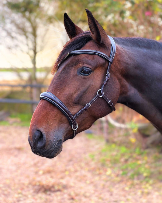 LoveLance - Sidepull Zephyr