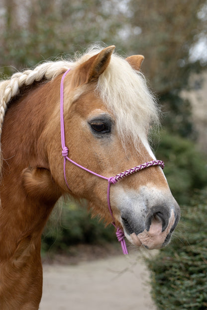Rope halter with braided noseband old pink, cream and burgundy