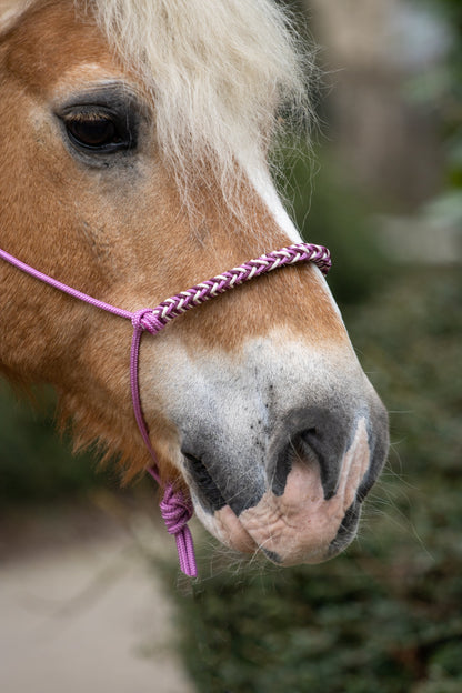 Rope halter with braided noseband old pink, cream and burgundy