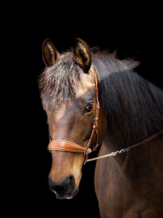 LoveLance - Kingekruist hoofdstel "Lujo"