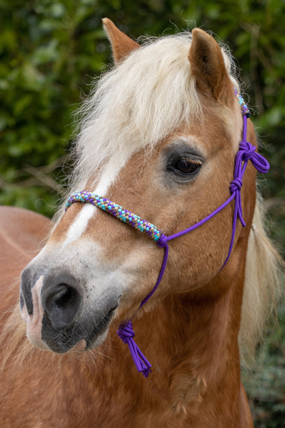 Rope Halter Set Tundra
