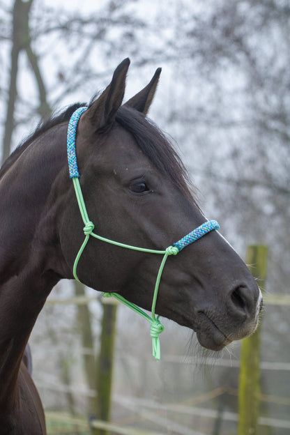 Rope halter pastel mint with rainbow mix